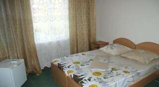 Гостиница Eko-pansionat Slavianskoe Podvorie Пляхо Стандартный двухместный номер с 1 кроватью или 2 отдельными кроватями-3
